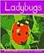 Ladybugs (Insects)