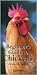 Beginner's Guide to Chickens