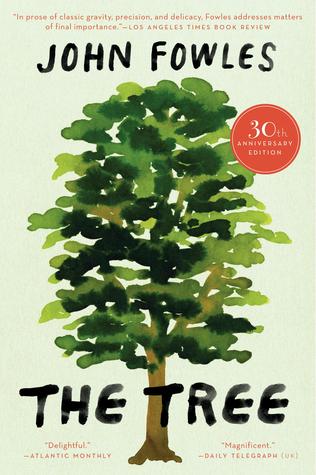 The Tree: A Classic Meditation on Nature, Art, and the Wisdom of Wild Beauty