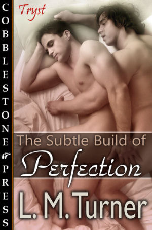 The Subtle Build of Perfection (Kindle Edition)