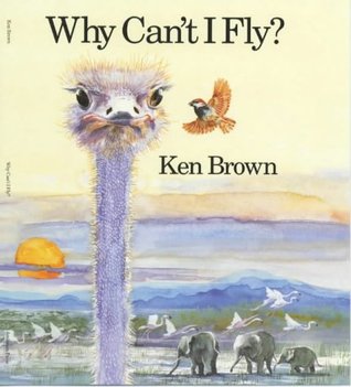 Why Can't I Fly? (Hardcover)