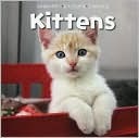 Snapshot Picture Library: Kittens Board Book (Board Book)