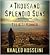 A Thousand Splendid Suns by Khaled Hosseini