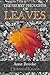 The Secret Thoughts Of Leaves
