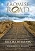 Promise Road: Walking Through the Process that Manifests the Promise