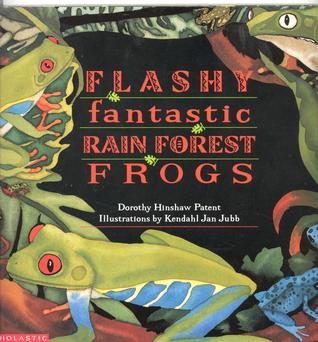 Flashy Fantastic Rain Forest Frogs (Paperback)