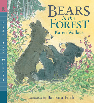 Bears in the Forest (Read & Wonder)