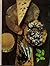 A Quintet of Cuisines by Michael Field