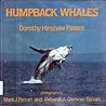 Humpback Whales