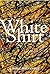 White Shirt by Laurie MacFayden