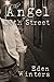 The Angel of 13th Street (T...