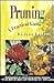 Pruning: A Practical Guide