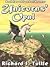 Unicorns' Opal [Sword of Heavens Book 2]