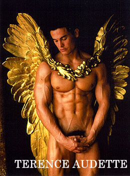 The Good Doctor (ebook)