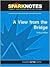 A View from the Bridge (SparkNotes Literature Guide)