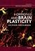 Hormones and Brain Plasticity (Oxford Series in Behavioral Neuroendocrinology Book 1)