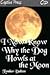 I Now Know Why the Dog Howls at the Moon