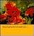 The Complete Best of Waterc...