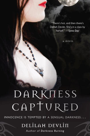 Darkness Captured (Dark Realm, #4)