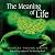 The Meaning of Life