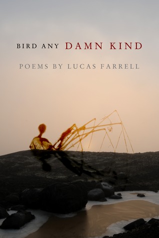 Bird Any Damn Kind (Paperback)