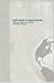 Capturing Globalization (Routledge Advances in International Relations and Global Politics)