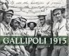 Galliopi 1915
