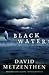 Black Water by David Metzenthen