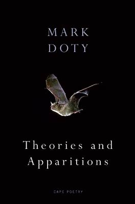 Theories and Apparitions (Paperback)