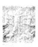 The Epic of Gilgamesh