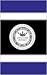Executive Reports: Understa...