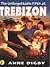 The Unforgettable Fifth at Trebizon by Anne Digby