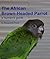 The African Brown-Headed Parrot