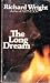 The Long Dream