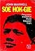 Soe Hok Gie: Pergulatan Int...