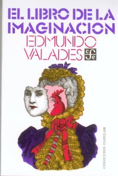 El libro de la imaginación (Paperback)