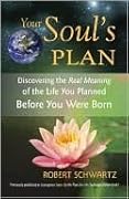 Your Soul's Plan: Discovering the Real Meaning of the Life You Planned Before You Were Born