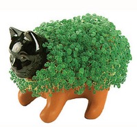 Chia Pet Hell (ebook)