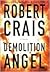 Demolition Angel