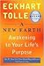 A New Earth by Eckhart Tolle A New Earth by Eckhart Tolle