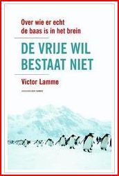 De vrije wil bestaat niet: over wie er echt de baas is in het brein
