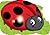 Ladybug by Sheryl Bone
