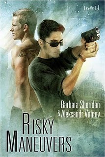 Risky Maneuvers (ebook)