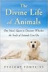 The Divine Life o...