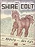 The Shire Colt