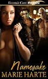 Namesake (Voiders, #1)