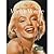 Marilyn Monroe (Livewire Real Lives)