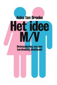 Het idee M/V (Paperback)