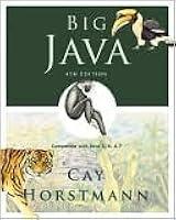 Big Java