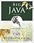 Big Java: Compatible with Java 5, 6 and 7